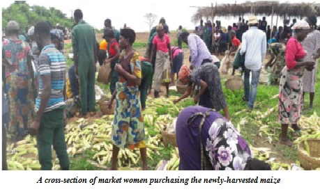 FUNAAB Sells Cheap Maize to Market Women